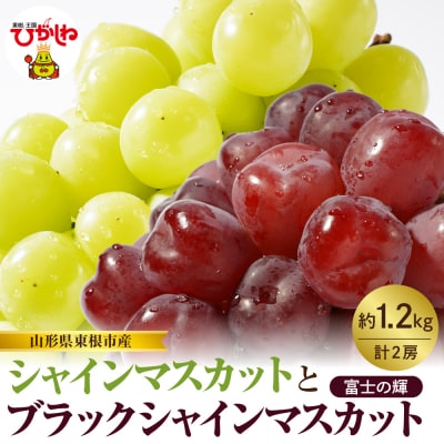 【2026年産】シャインマスカットと「富士の輝」の詰め合わせ約1.2kg hi074-017