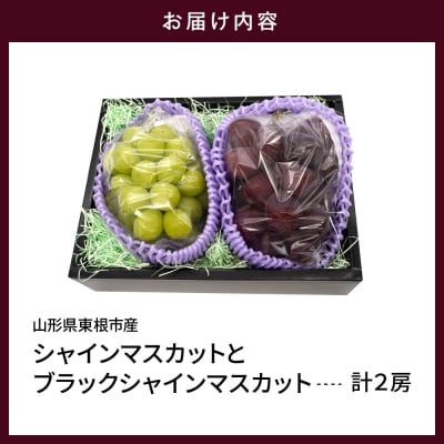 【2026年産】シャインマスカットと「富士の輝」の詰め合わせ約1.2kg hi074-017