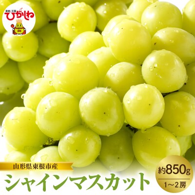 【2026年産】東根市産 シャインマスカット 約850g (1～2房) hi074-016