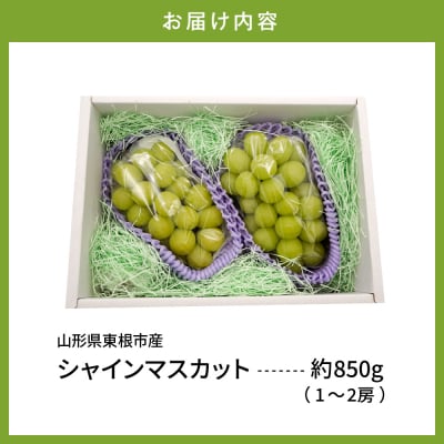 【2026年産】東根市産 シャインマスカット 約850g (1～2房) hi074-016