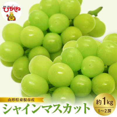 【2026年産】東根市産 シャインマスカット 約1kg (1～2房) hi074-014
