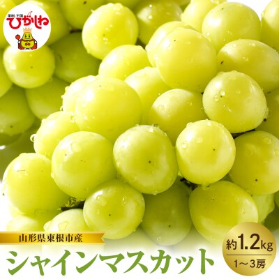 【2026年産】東根市産 シャインマスカット 約1.2kg (1～3房) hi074-013