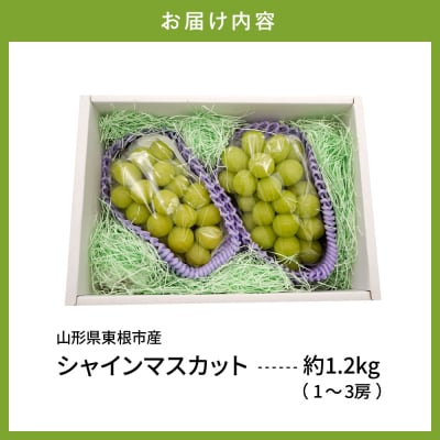 【2026年産】東根市産 シャインマスカット 約1.2kg (1～3房) hi074-013
