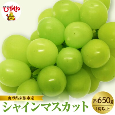 【2025年産　先行受付】山形県東根市産　シャインマスカット　約650g