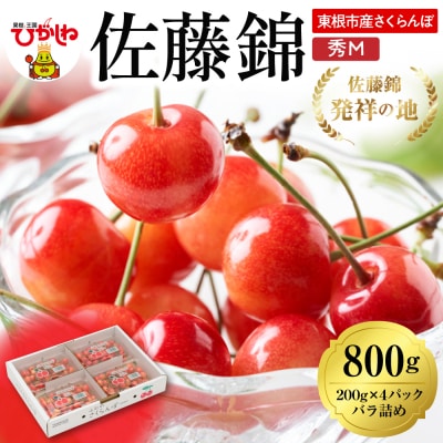 2025年 山形県東根市産さくらんぼ「佐藤錦」800g(200g×4パック)  東根農産センター