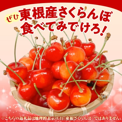 2025年 山形県東根市産さくらんぼ「佐藤錦」800g(200g×4パック)  東根農産センター
