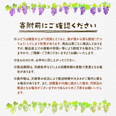 【2025年 先行受付 3回定期便】2025年 フルーツ王国 三大人気定期便 