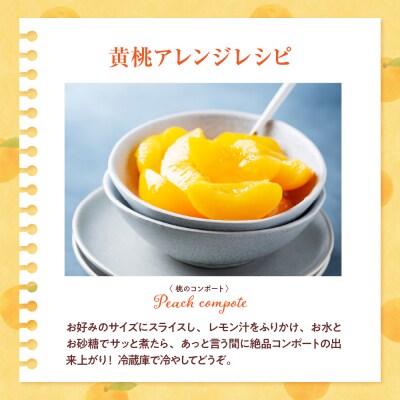 【2025年産　先行受付】真の果実 贈答用 黄桃2kg 山形県 東根市