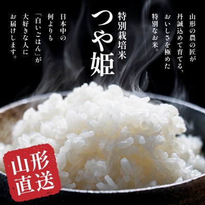 【2025年3月スタート】 特別栽培米つや姫10kg×8回(毎月)定期便【深瀬商店】山形県 東根市 