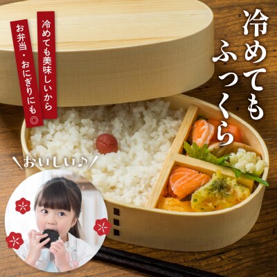 【2025年5月スタート】 特別栽培米つや姫10kg×6回(毎月)定期便【深瀬商店】山形県 東根市 