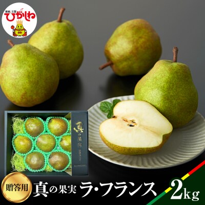 2026年産 真の果実 贈答用 ラフランス2kg 山形県 東根市 松栗提供 hi062-041-r8