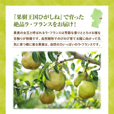 2026年産 真の果実 贈答用 ラフランス2kg 山形県 東根市 松栗提供 hi062-041-r8