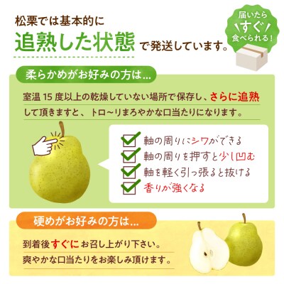 2026年産 真の果実 贈答用 ラフランス2kg 山形県 東根市 松栗提供 hi062-041-r8