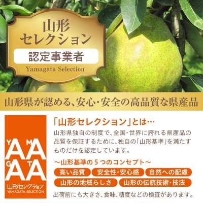 【令和8年産】山形セレクション ラ・フランス(5玉)とジャムセット 鈴木農園提供 hi069-021