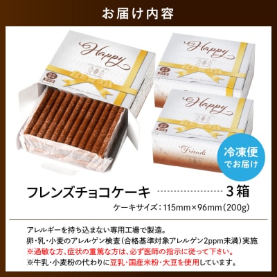 【期間限定】卵・乳・小麦不使用 【フレンズチョコケーキ × 3箱】 スイーツ ケーキ チョコ