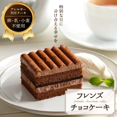 【期間限定】卵・乳・小麦不使用 【フレンズチョコケーキ × 4箱】 スイーツ ケーキ チョコ