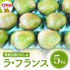 2025年産 洋梨「ラ・フランス」5kg 滝口観光果樹園提供 hi030-039-2