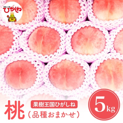 【2026年産 先行受付】もも「品種おまかせ」5kg 滝口観光果樹園提供 東根市 hi030-044