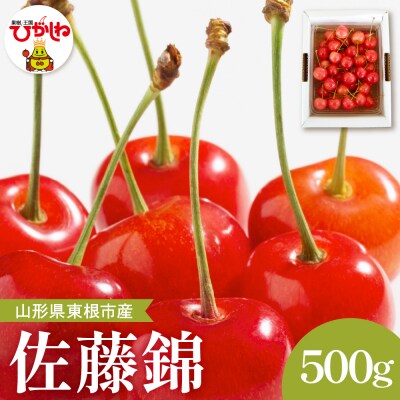 2025年産 さくらんぼ「佐藤錦」秀品 500gバラ詰め Lサイズ以上 hi037-009-2