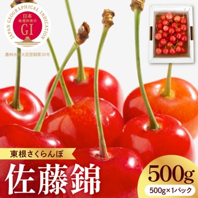 【2027年産】GI 東根さくらんぼ 「佐藤錦」秀品 500gバラ詰め hi037-014-r9