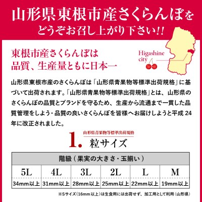 2025年産 さくらんぼ「佐藤錦」秀品 500gバラ詰め Lサイズ以上 hi037-009-2