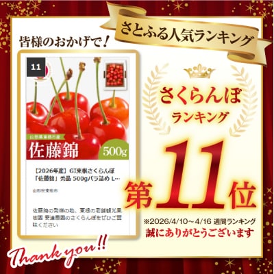 【2026年産】GI東根さくらんぼ「佐藤錦」秀品 500gバラ詰め Lサイズ以上 hi037-014