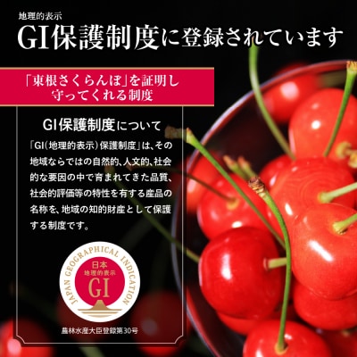 【2027年産】GI 東根さくらんぼ 「佐藤錦」秀品 500gバラ詰め hi037-014-r9