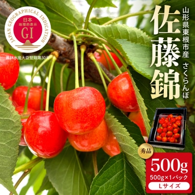 【2026年産】GI東根さくらんぼ「佐藤錦」秀品 500gバラ詰め Lサイズ hi088-010