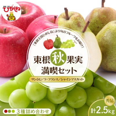 【東根秋果実満喫セット】サンふじ&ラフ&シャイン約2.5kg 山形県 東根市 hi027-202-2