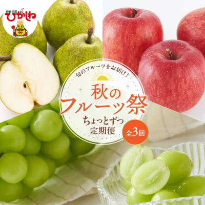 2025年産 秋のフルーツ祭 ちょっとずつ定期便!全3回 hi026-042-2