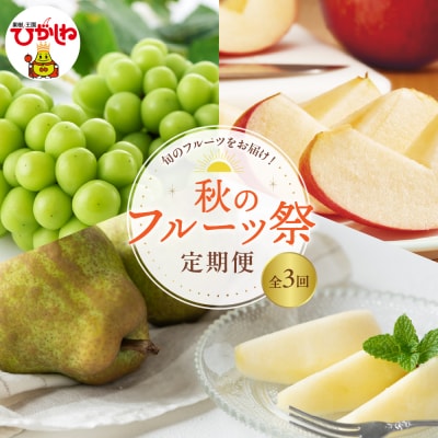 2025年産 秋のフルーツ祭定期便!全3回(2025.10月スタート) hi026-043-2