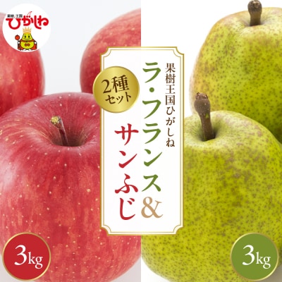 2025年産 ラ・フランス&サンふじ各3kgセットでお届け 山形県 東根市 hi026-044-2