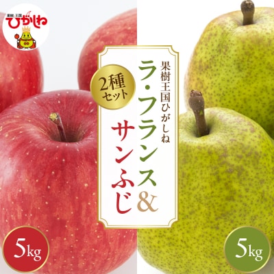 2025年産 ラ・フランス&サンふじ各5kgセットでお届け 山形県 東根市 hi026-045-2