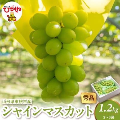 2026年産 シャインマスカット 1.2kg(2-3房) 秀品 山形県 東根市　hi082-058