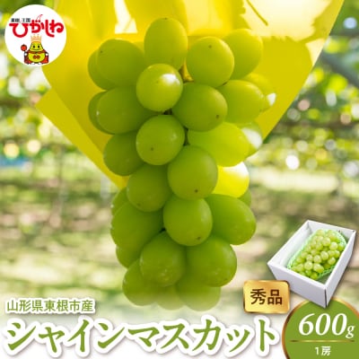 2026年産 シャインマスカット 600g(1房) 秀品 山形県 東根市　hi082-057