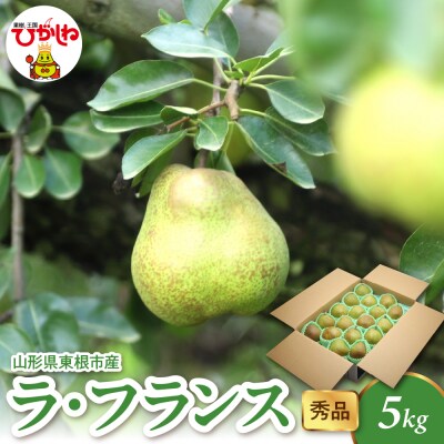 2025年産 ラ・フランス5kg(10-22玉) 秀品 山形県 東根市 hi082-022-2