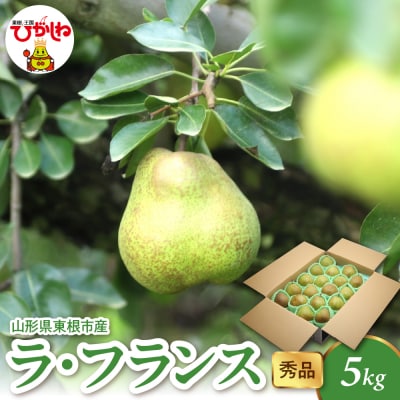 【2026年産】 ラ・フランス 5kg(8-25玉) 秀品 千笑花夢提供 hi082-022-r8
