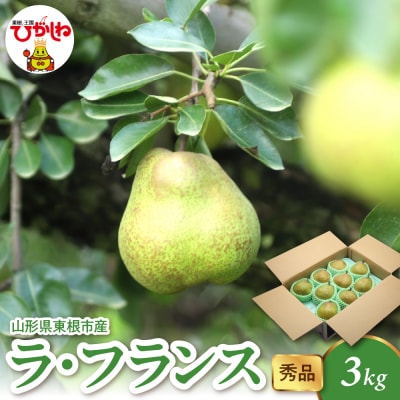 2025年産 ラ・フランス3kg(6-13玉) 秀品 山形県 東根市 hi082-021-2