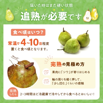 2025年産 ラ・フランス2kg(4-9玉) 秀品 山形県 東根市 hi082-020-2