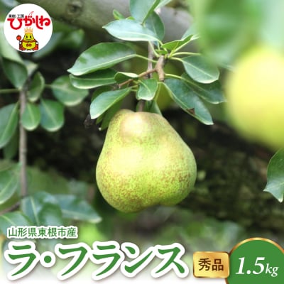 【2026年産】 ラ・フランス 1.5kg(4-7玉) 秀品 千笑花夢提供 hi082-019-r8