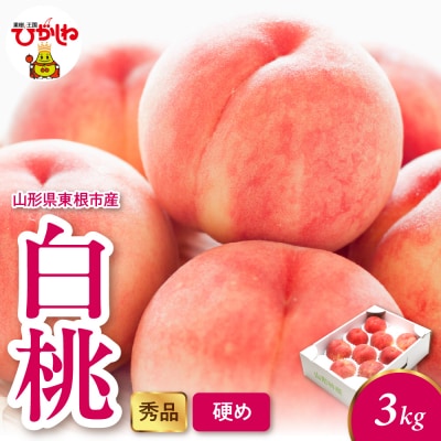 2026年産 白桃(硬め) 3kg 秀品 山形県 東根市 hi082-054