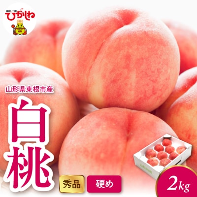 2026年産 白桃(硬め) 2kg 秀品 山形県 東根市 hi082-053