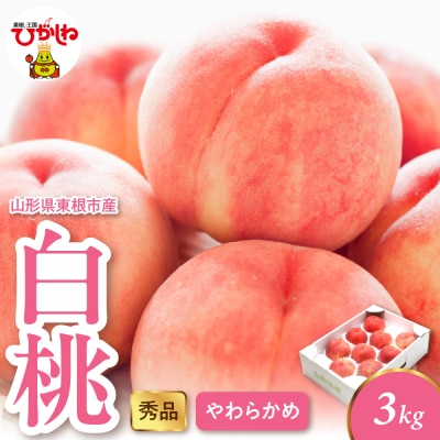 2026年産 白桃(柔らかめ) 3kg 秀品 山形県 東根市 hi082-049