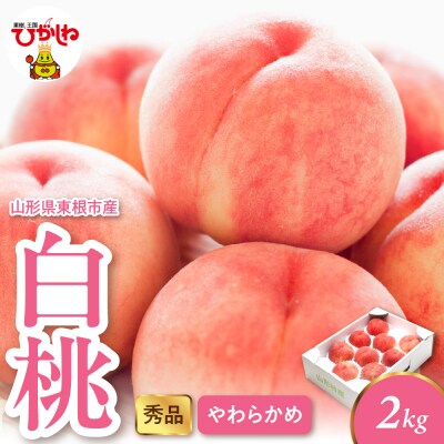 2026年産 白桃(柔らかめ) 2kg 秀品 山形県 東根市 hi082-048