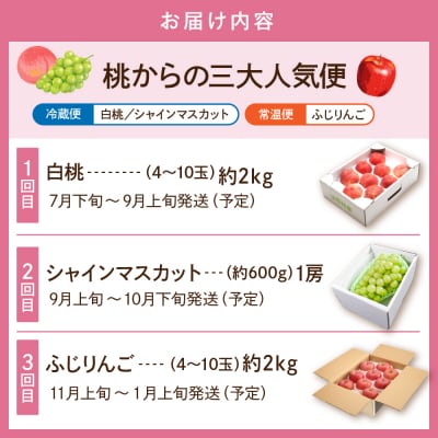 【2025年産 桃からの3回定期便】フルーツ王国 桃からの三大人気便 hi082-027-2