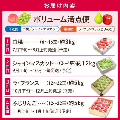 【2025年産 ボリューム4回定期便】フルーツ王国 ボリューム満点便 hi082-029-2