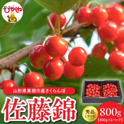 【令和7年産】佐藤錦秀品Lサイズ400g×2P 有限会社motto提供 hi090-001-2