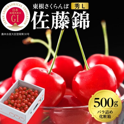 2026年 GI東根さくらんぼ「佐藤錦」500gバラ詰め 秀品 Lサイズ hi027-220