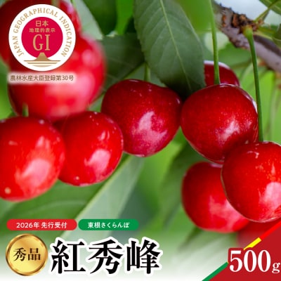 【2026年産 先行受付】紅秀峰 秀品 500g 山形県 東根市 hi062-052