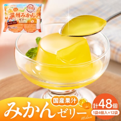 みかんゼリー 1袋4個入×12袋 和歌山産業提供 山形県 東根市 hi070-005